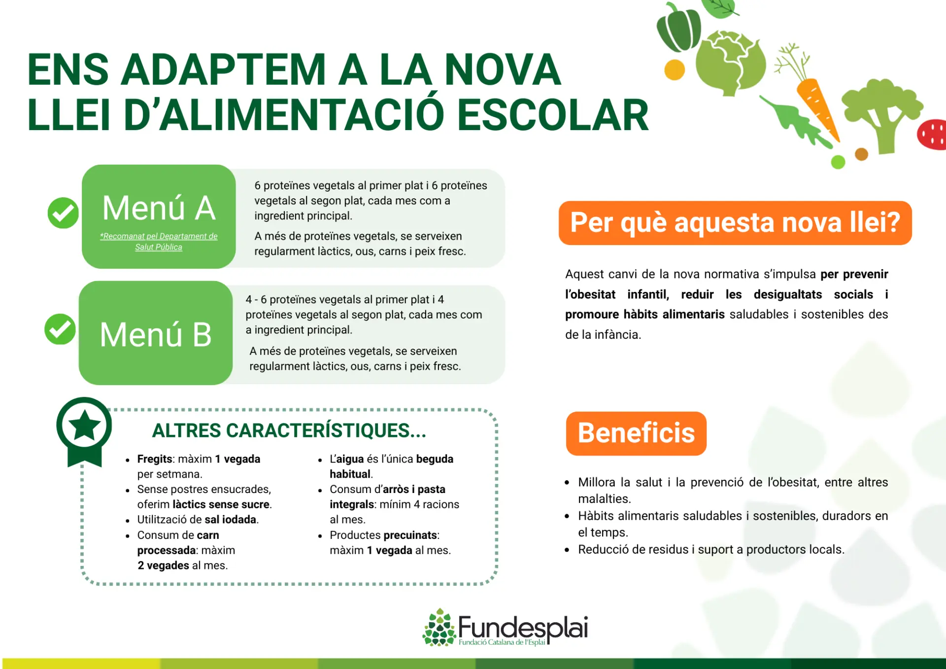 Infografia nou decret llei TEM