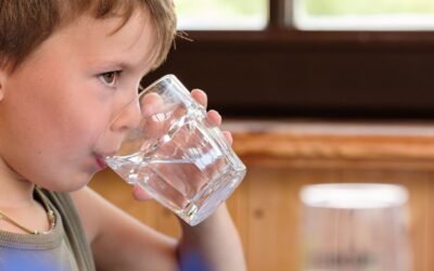 8 actividades para el Día Mundial del Agua y más!