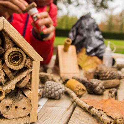 Com fer un hotel d’insectes a l’escola o l’esplai