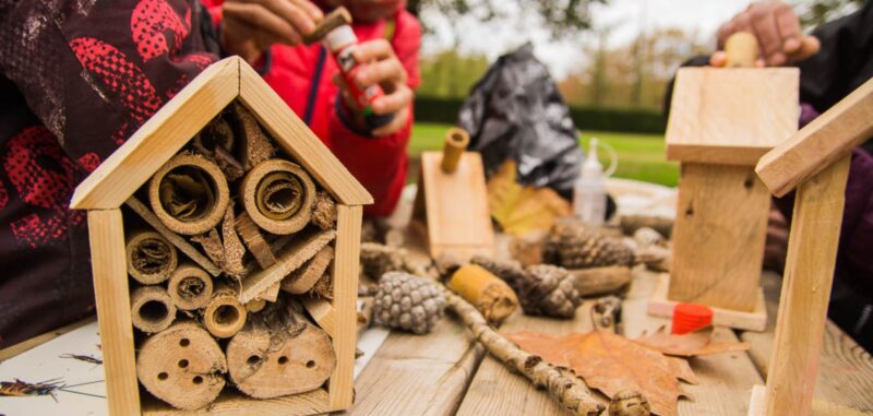 Construcció d'un hotel per a insectes