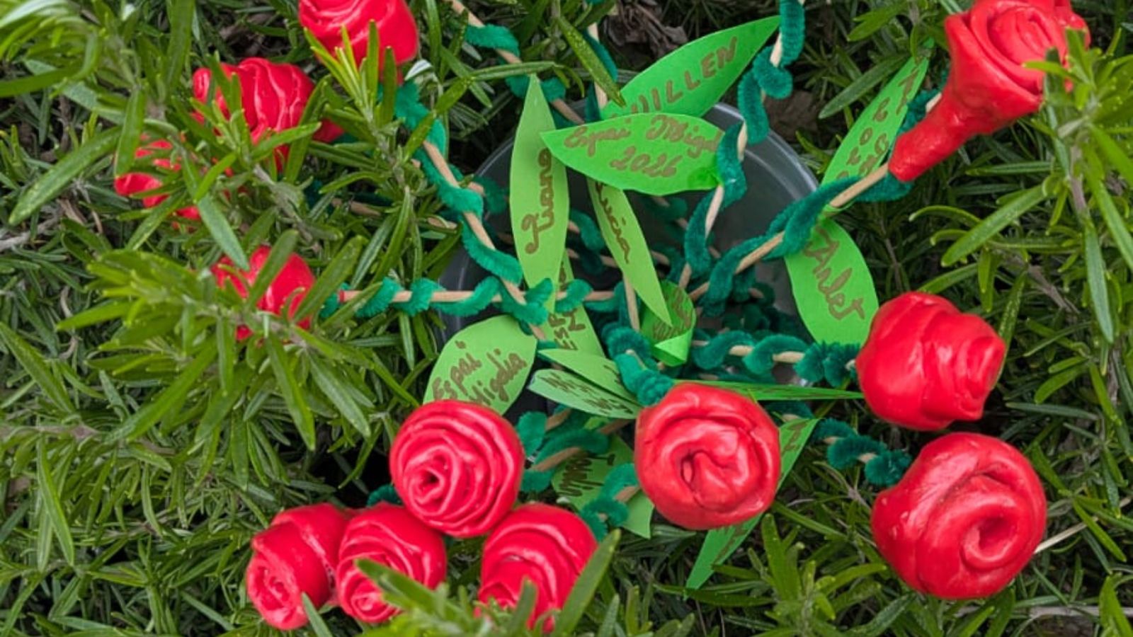 Roses creatives