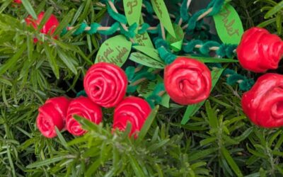 Diada de Sant Jordi al Temps Educatiu del Migdia