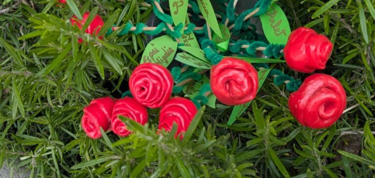 Día de Sant Jordi en el Tiempo Educativo del Mediodía
