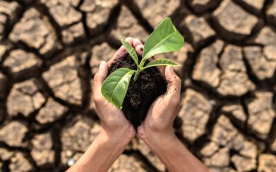 El canvi climàtic, una prioritat educativa