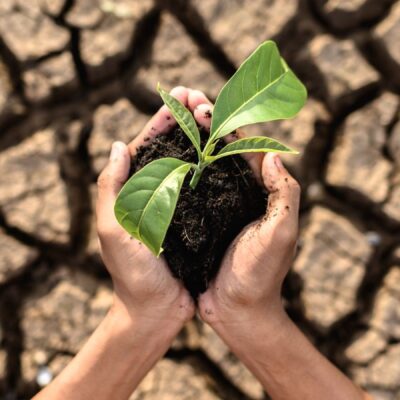 El canvi climàtic, una prioritat educativa