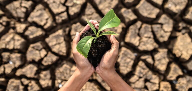 El cambio climático, una prioridad educativa