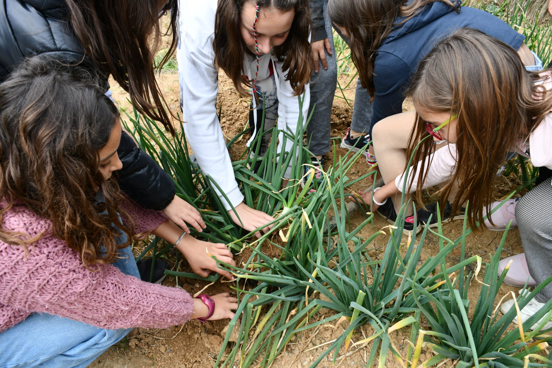 Tallers a l'escola primària