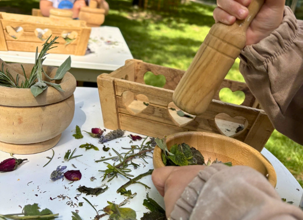 Joc i natura Fundesplai